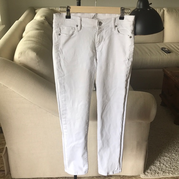 loft modern cuffed crop